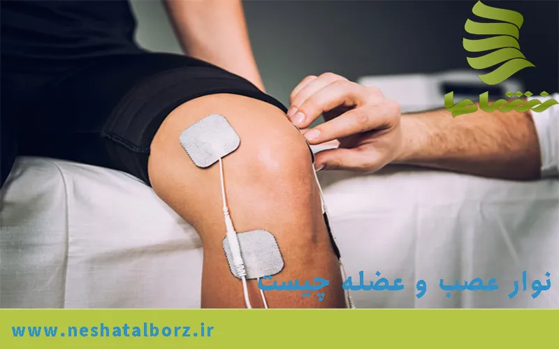 نوار عصب و عضله