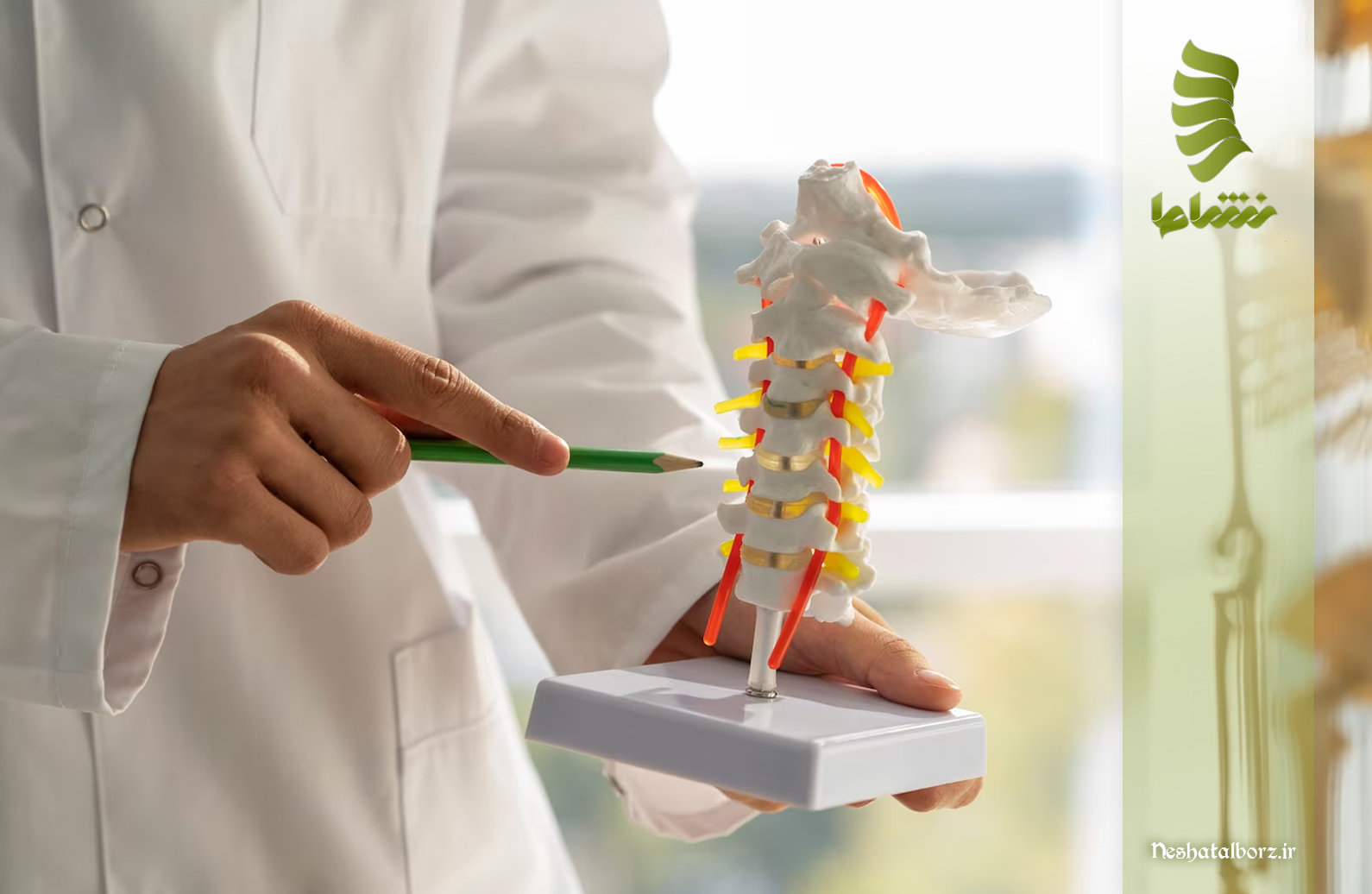 دکتر و فلوشیپ ستون فقرات در فردیس کرج