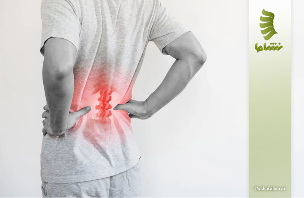 دیسک L5-S1 چه کاری در بدن انجام می دهد؟