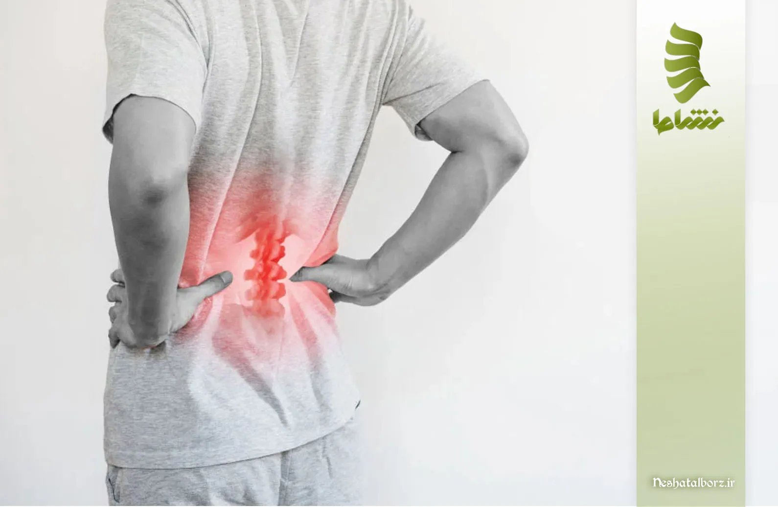 دیسک L5-S1 چه کاری در بدن انجام می دهد؟
