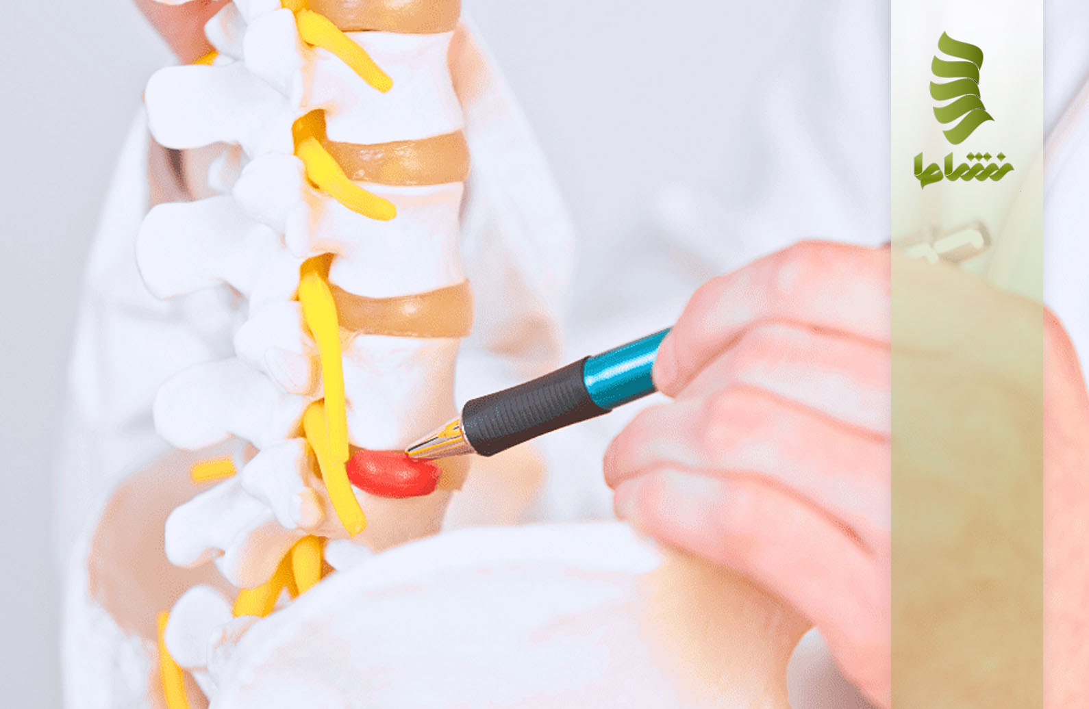 دیسک L5-S1 یا مفصل لومبوساکرال چیست