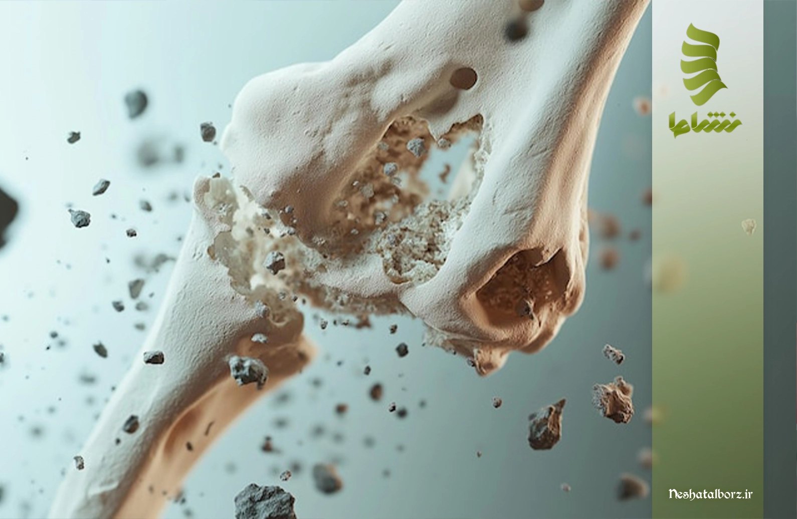 بهترین متخصص استخوان فردیس