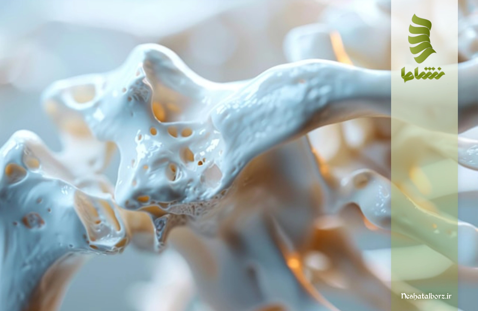 مرکز فوق تخصصی بیماری های مفاصل و استخوان