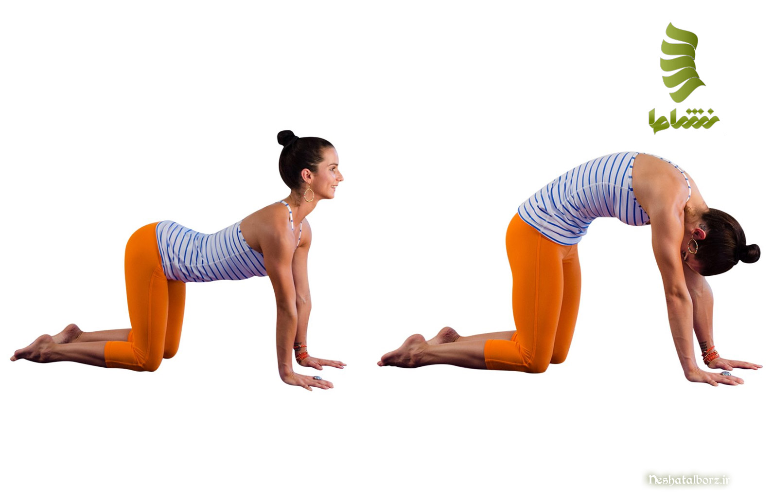 تمرین برای کاهش درد ستون فقرات