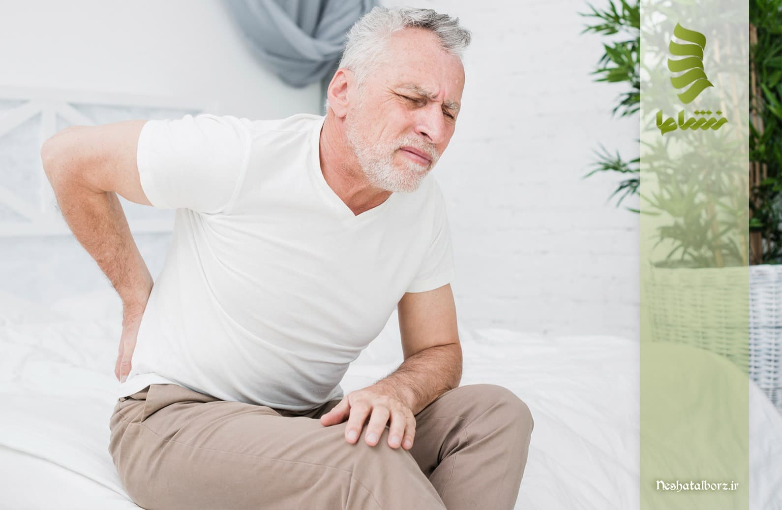 انواع میوزیت